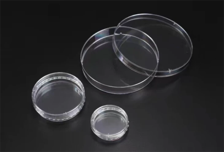 3D Cell Floater Dish