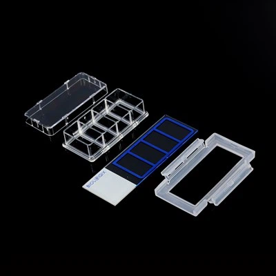 2 Well 4 Well 8 Well Cell Culture Slides