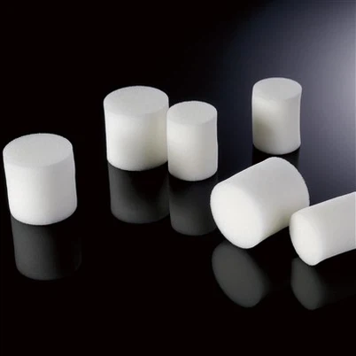 ڈروسوفلا بندش