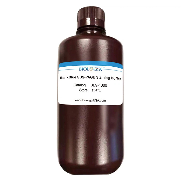 صرف 5-10 منٹ Biologix BlinkBlue™ پروٹین سٹین بفر